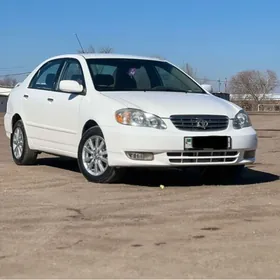 Toyota Corolla 2002
