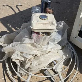 alygoptyr biton parladyjy