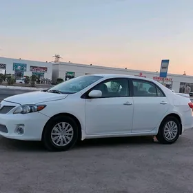 Toyota Corolla 2011