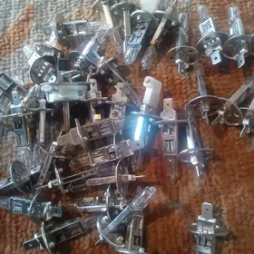 LAMPA H1 OSRAM MORDA