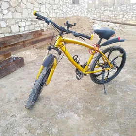 3 саны велсопет