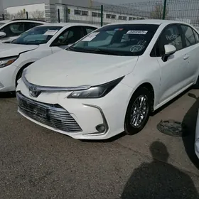 Toyota Corolla 2022