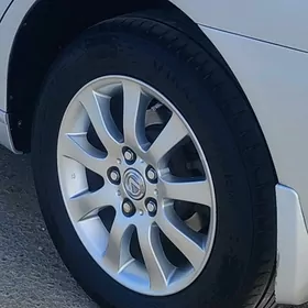 Diska pakryska  16 lyk