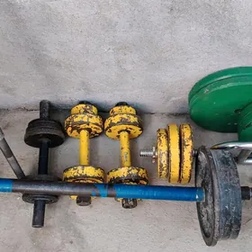 Штанга гантели