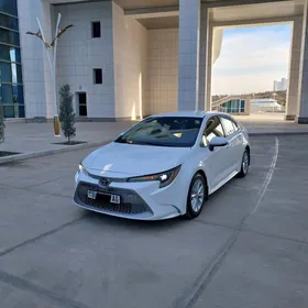 Toyota Corolla 2020