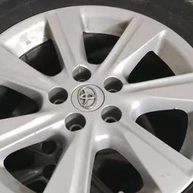 17 lik haylander diska