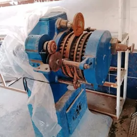 kanditer sasulka enjam