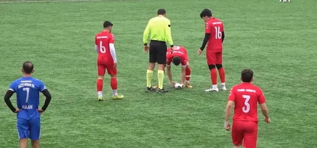 Футболист спас жизнь чайке, в которую попал мяч: сделал ей массаж сердца прямо на поле