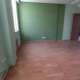 Arenda Gurtly pamişenya arzan