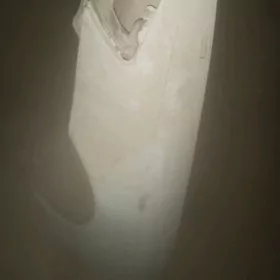 mark krelya cep tarap