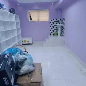 Taze gurtly yeri gat gowy