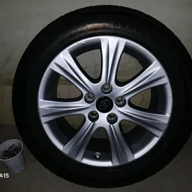 Disga pakrisga 215 55 17