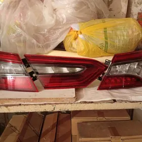 Camry Haliji fara stop