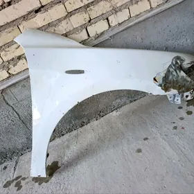 2008 onki krilosy haliji