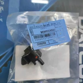 Hyundai/Farangeyt howadatchik