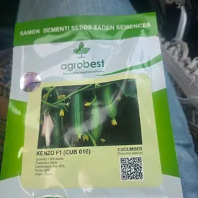 hyyar tohum kenzo firma