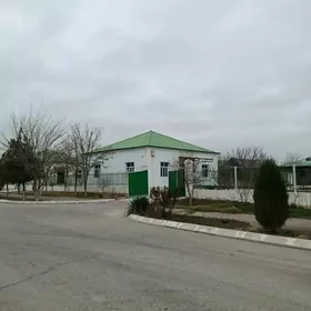 Täze eýýam elitni plan