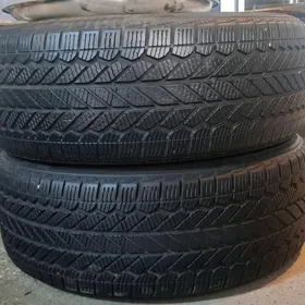 205-55-16 bridgeston 2024