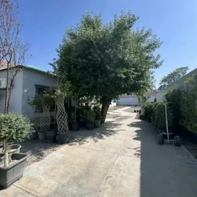 Bagyr Mirewe 8sotok eyesinden