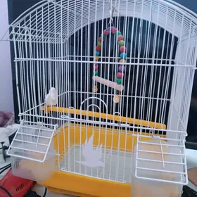 клетка для попугаев