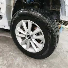 Диска Пакрышка