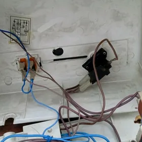 Tokto işlee 3 skorsy bar