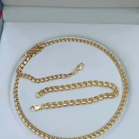 galyn cayilan kardinal