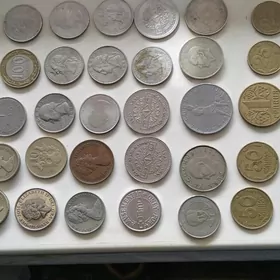 Daşary yurtlaryn kone tennele.