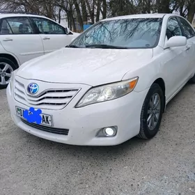 Toyota Camry 2010