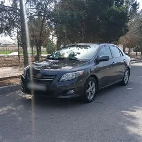 Toyota Corolla 2010
