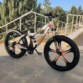 TIGIR KARSOK SAMAKAT KALYASGA