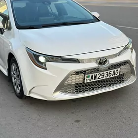 Toyota Corolla 2021