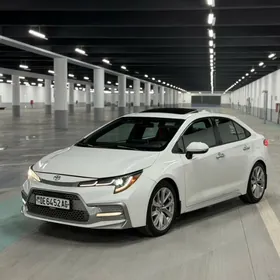Toyota Corolla 2021