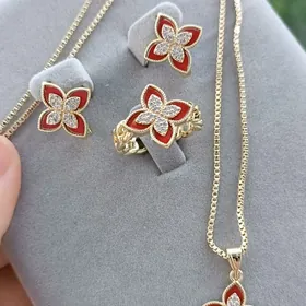 Buziterya kamplekit gyzyla kop