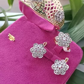 Buziterya Gyzyla kopya