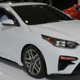 WODITEL IŞ GÖZLEÝÄN