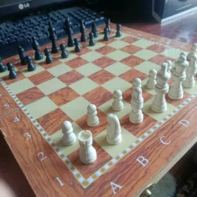 narda + şaşki + küşt