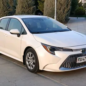 Toyota Corolla 2021