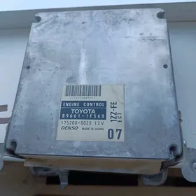 karolla haliji kampuýter 2006