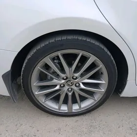 Xse 19lk camyry disga