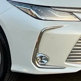 corolla nikel tumanik ocki2020