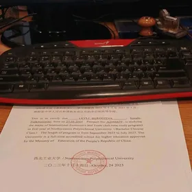 terjime uly terjibe bilen