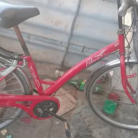 27 японка обмен тоже будет