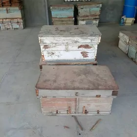 Бал  Ары яшик