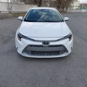 Toyota Corolla 2020