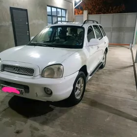Hyundai Santa Fe 2003