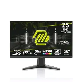 25" MSI 300HzGAMING MONITOR