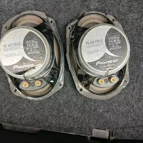 pioneer nikil kalonka