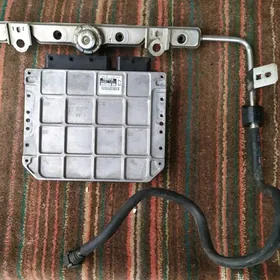 Taýota karolla kampýuter