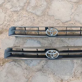 Samsyk kemry oblisowka morda